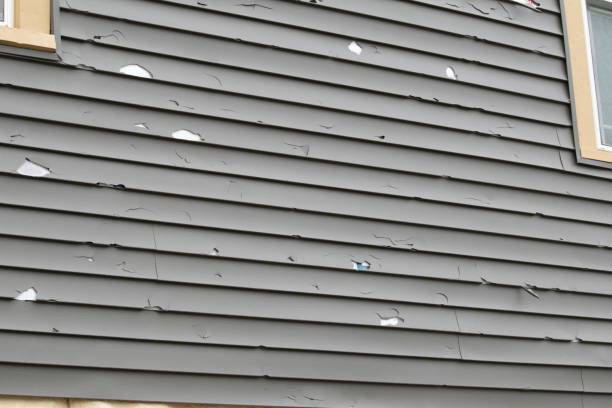 Best Insulated Siding Installation  in La Grange, IL