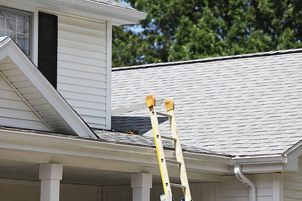 Best Storm Damage Siding Repair  in La Grange, IL